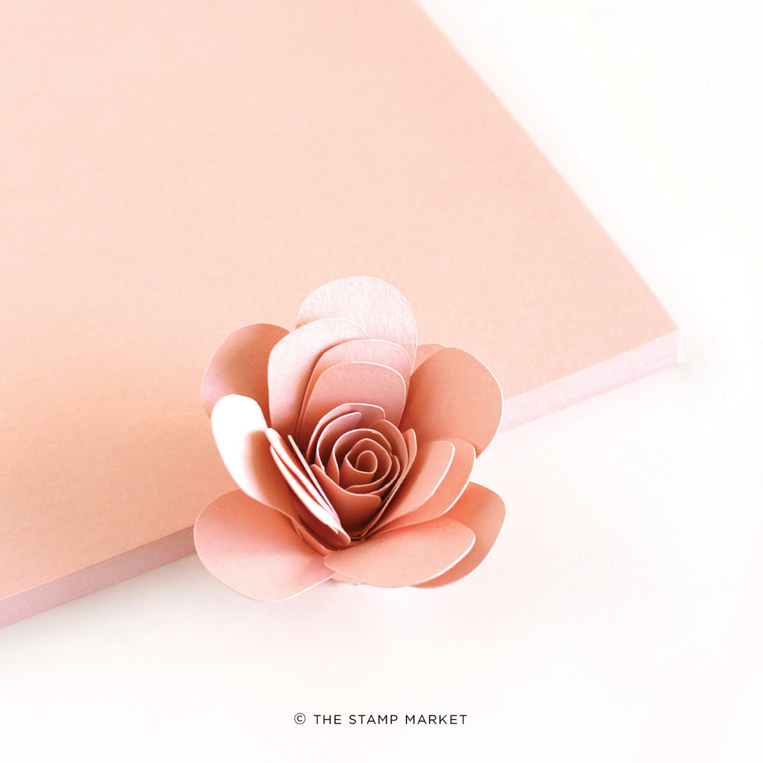 BLUSH CARDSTOCK