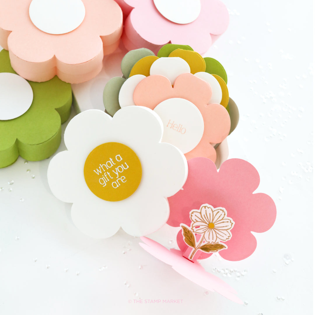 BLOOM BOX DIE