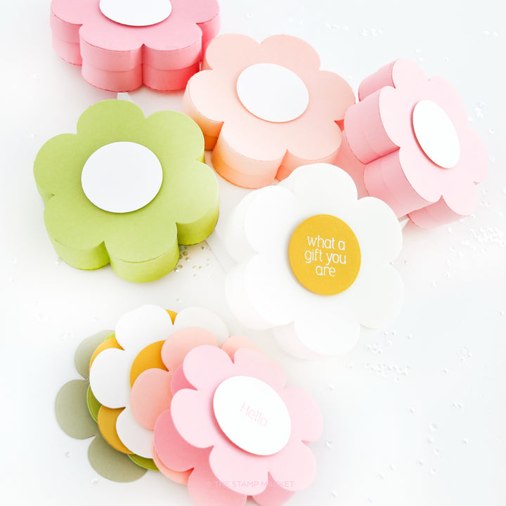 BLOOM BOX DIE