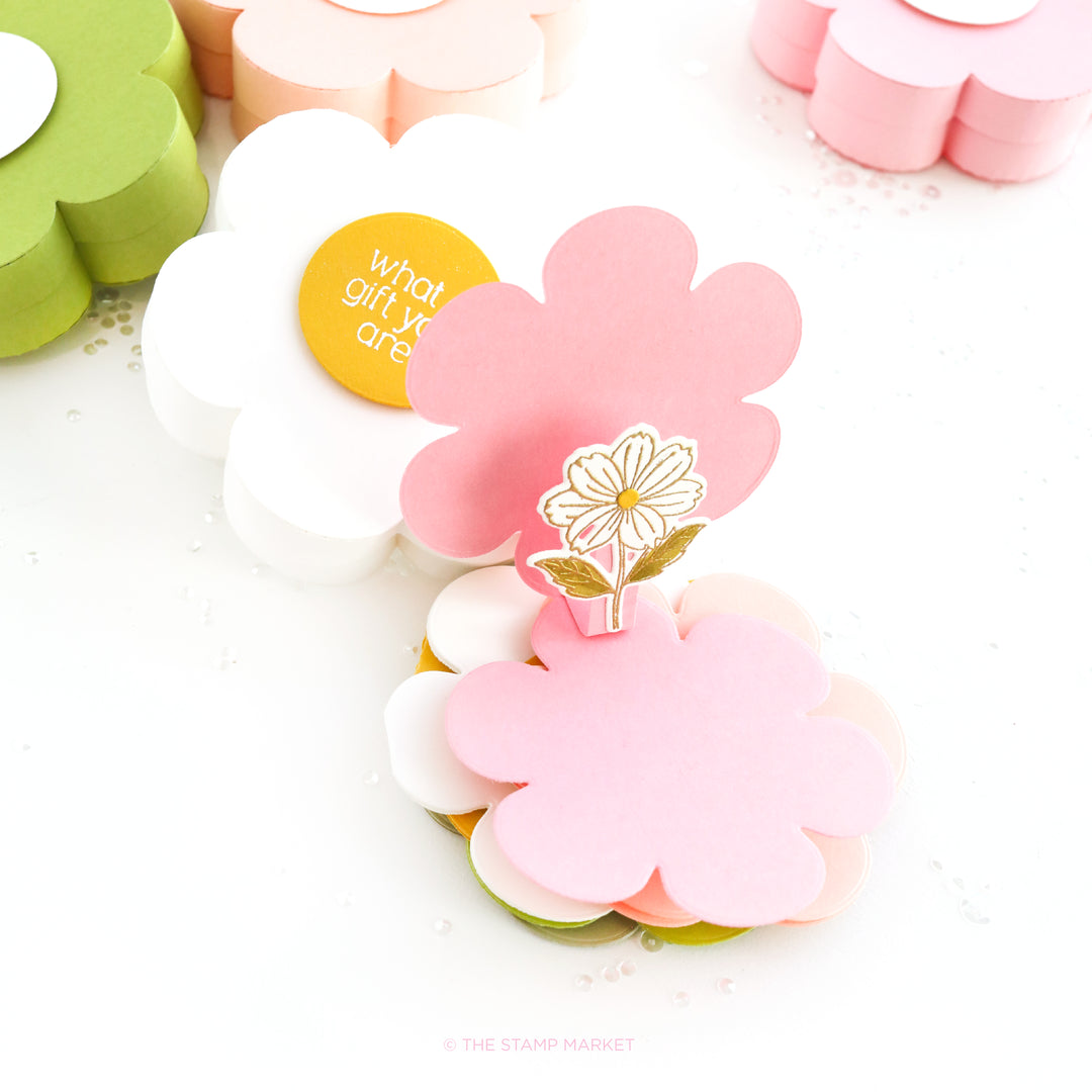 BLOOM BOX DIE