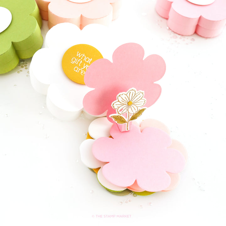 BLOOM BOX DIE