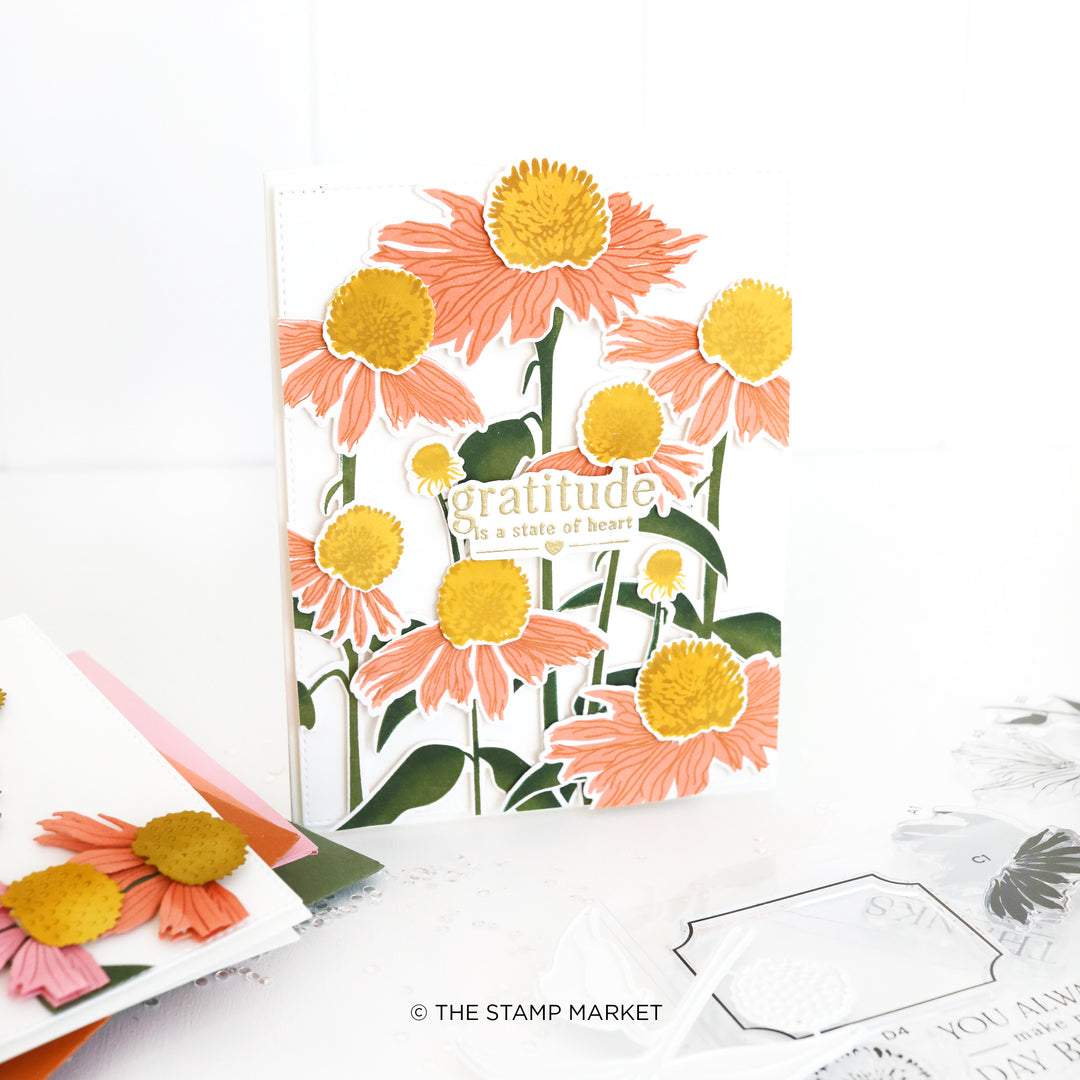 CONEFLOWER FIELD STAMP