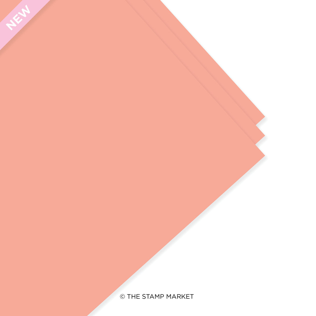 TERRA COTTA CARDSTOCK