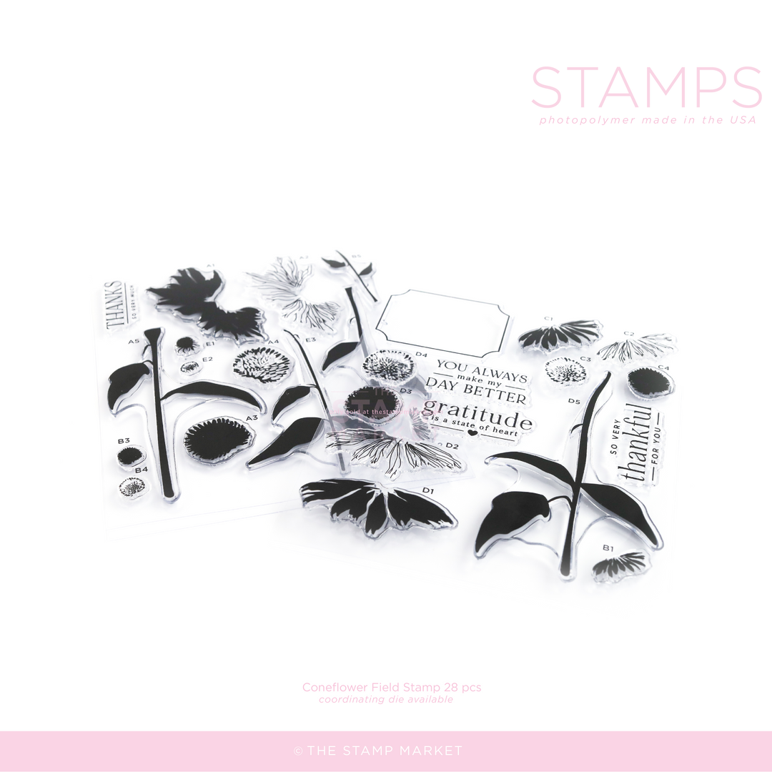 CONEFLOWER FIELD STAMP