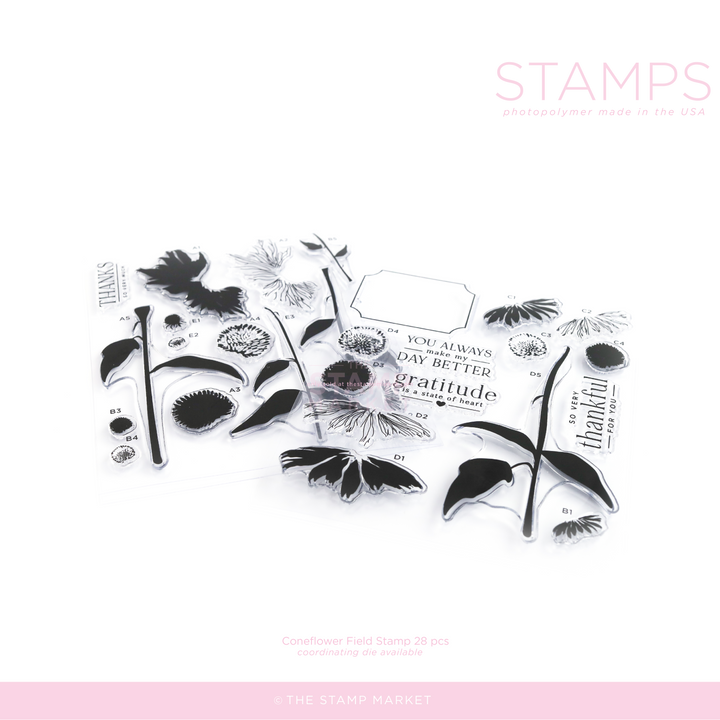 CONEFLOWER FIELD STAMP