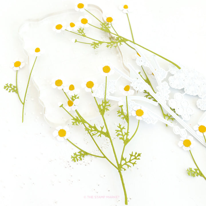 CHAMOMILE BLOOM BUILDER DIE