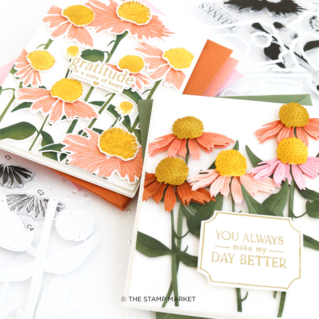 CONEFLOWER FIELD STAMP