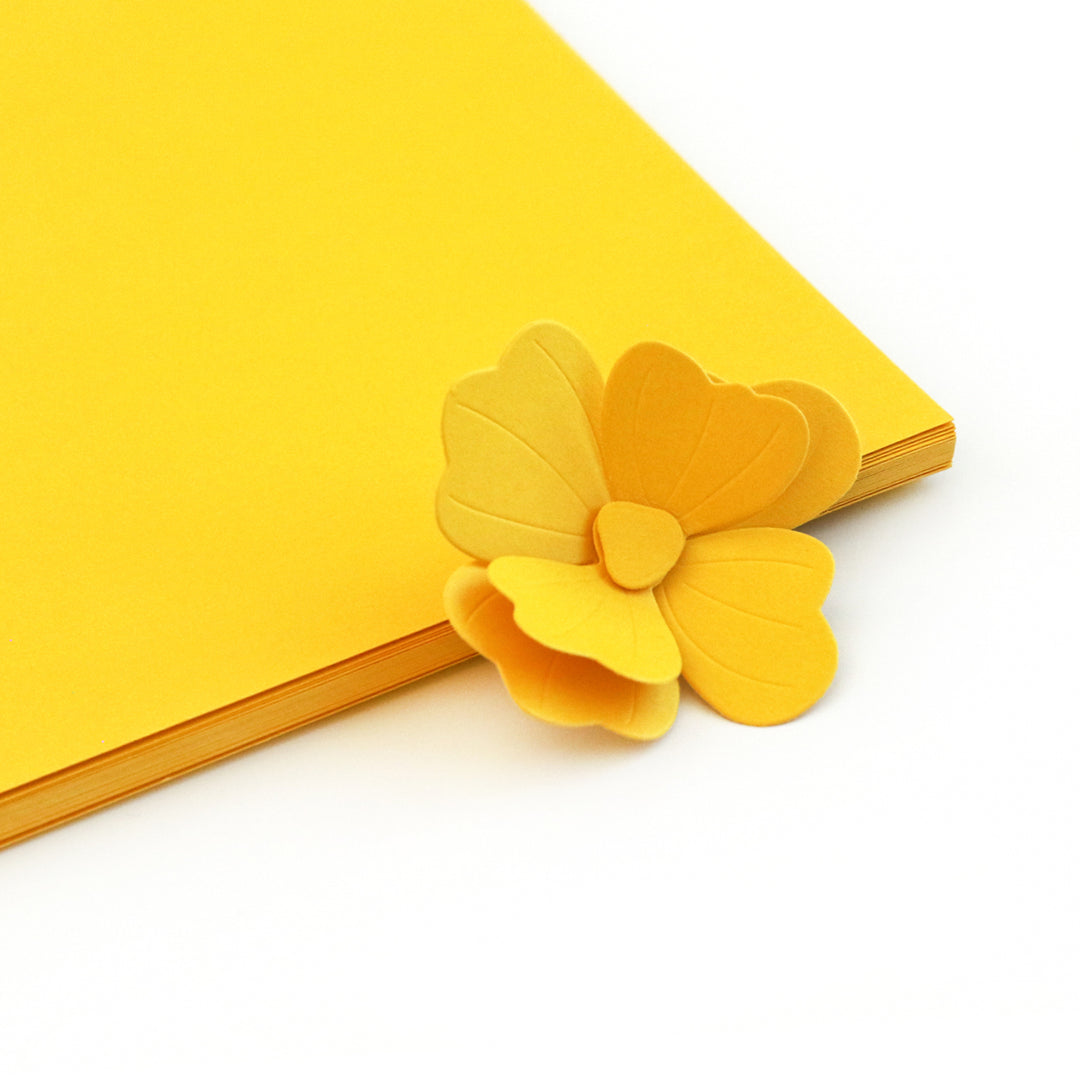 Sunshine Cardstock