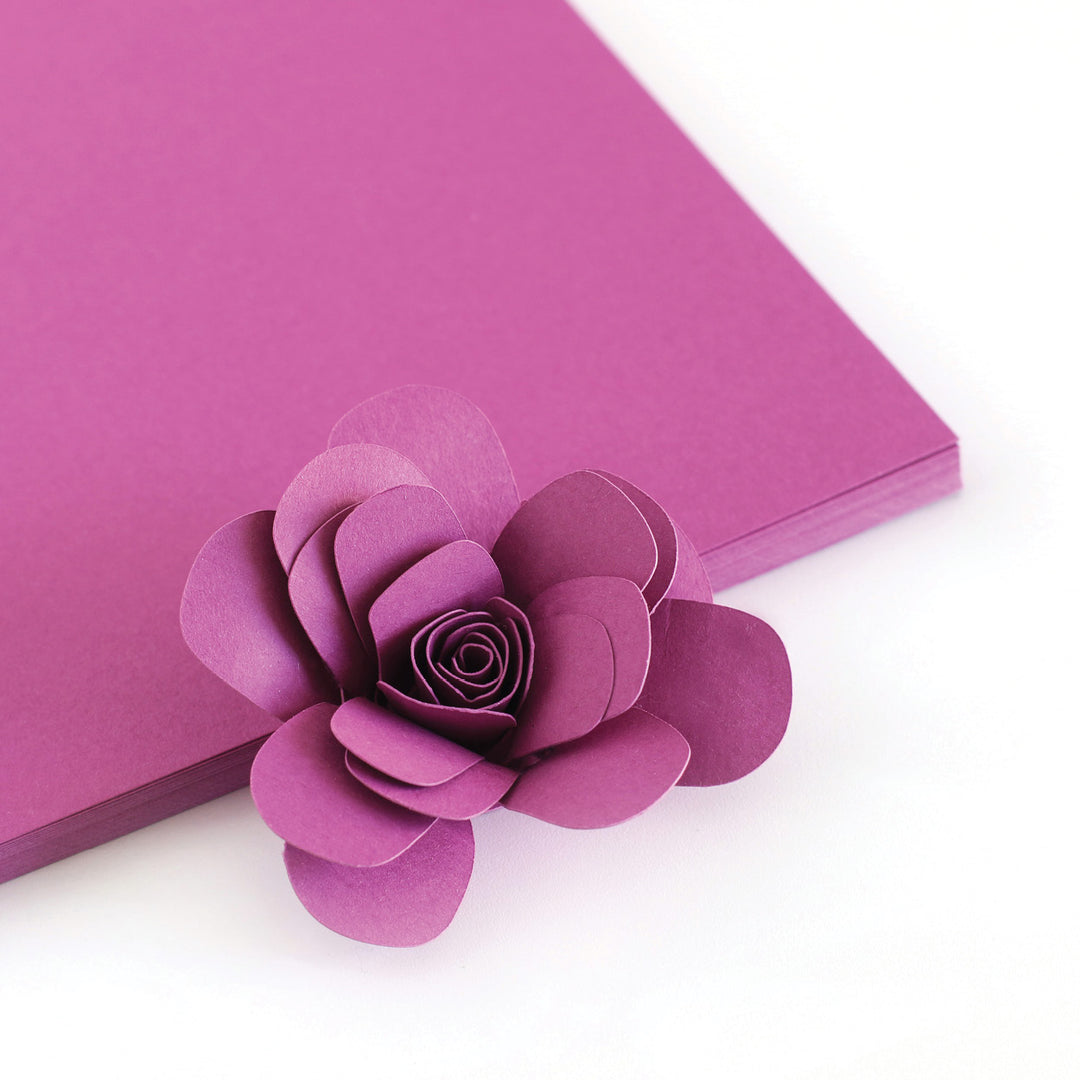 ORCHID CARDSTOCK